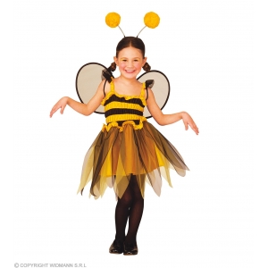 http://www.lemma.lv/7155-14348-thickbox/bee-dress-wings-antennas-116-cm.jpg