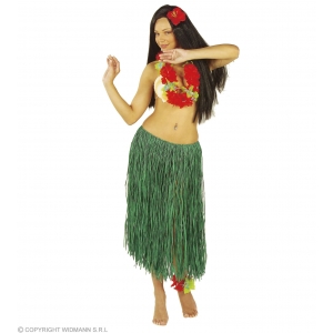 http://www.lemma.lv/7200-14324-thickbox/green-raffia-hula-skirt-78cm.jpg