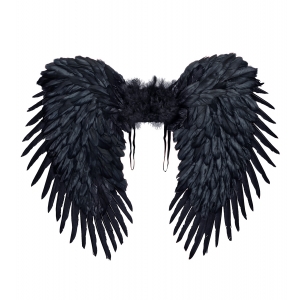 http://www.lemma.lv/7807-15974-thickbox/black-feathered-wings-80x60-cm.jpg